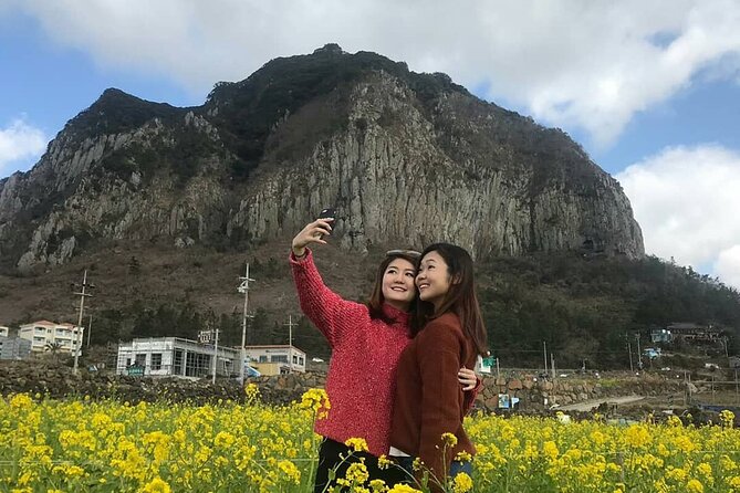 Private Day Tour in South and West in Jeju Island - Windmills, Hyeopjae, and Hallim Park fill the western stretch