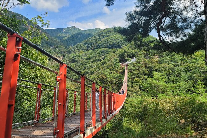 Private DMZ Tour and Suspension Bridge + Korean BBQ - The guide makes or breaks the day