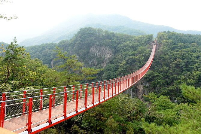 Private DMZ Tour (No Shopping): 3rd Tunnel & Suspension Bridge - Why this DMZ day trip is different