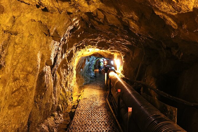 Private DMZ Tour (No Shopping): 3rd Tunnel & Suspension Bridge - The passport check changes the pace