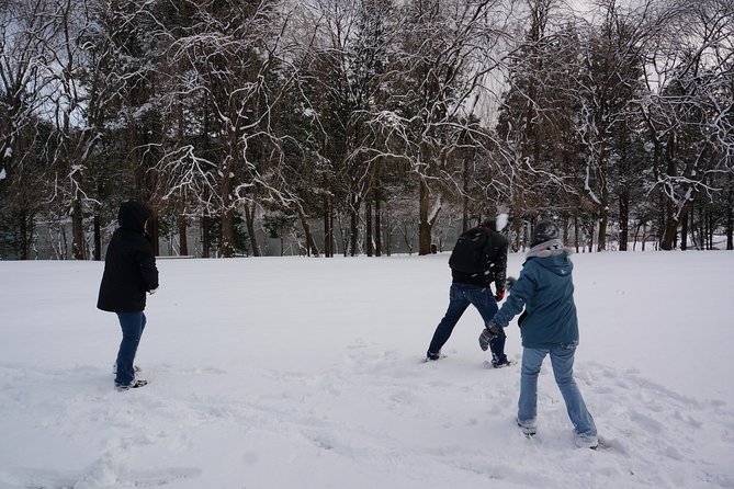 Private Tour Nami Island with Petite France 'and/or' The Garden of Morning Calm - Nami Island: the main event