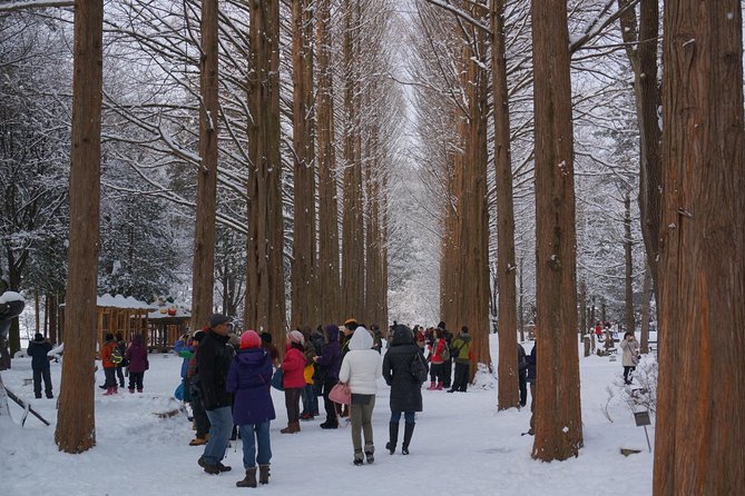 Private Tour Nami Island with Petite France 'and/or' The Garden of Morning Calm - Petite France: a colorful stop with limits