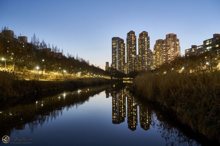 Seoul: 4-Hour Gangnam Walking Tour With Customized Itinerary - The Gangnam Style Statue and modern Seoul