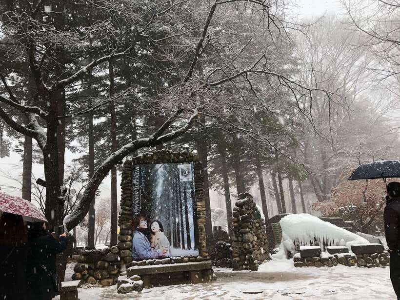 Seoul: Alpaca, Nami, Morning Calm or Eobi (+Rail Bike) - Eobi Ice Valley: a short winter stop with slippery footing