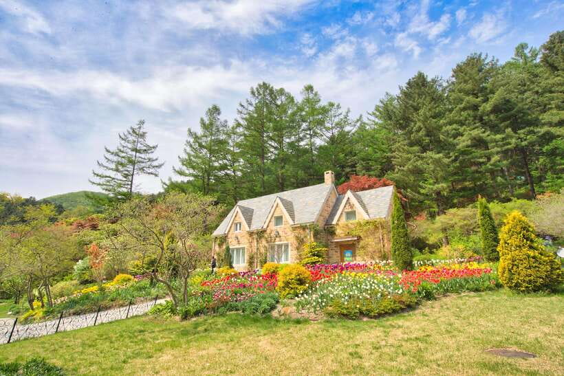 Seoul: Alpaca World and Nami Island (with Garden / Railbike) - Walking Nami Island’s tree-lined avenues