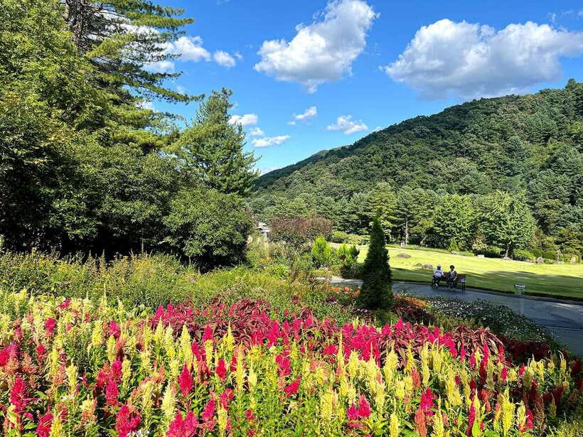 Seoul: Alpaca World and Nami Island (with Garden / Railbike) - Garden of Morning Calm or Stay Healing Park after dark
