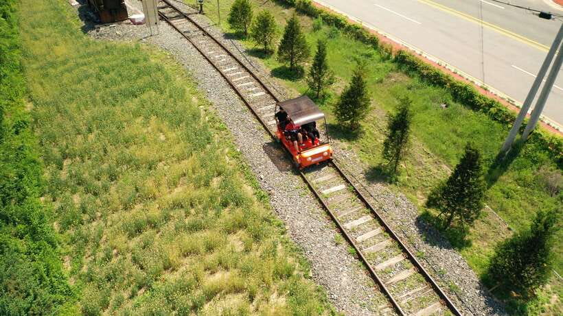 Seoul: Alpaca World and Nami Island (with Garden / Railbike) - Who gets the best value from $83