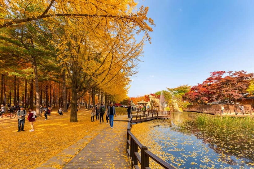 Seoul: Alpaca World & Nami Island optional Gangchon Railbike - FAQ