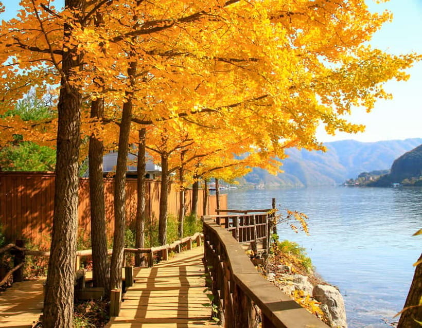 Seoul: Alpaca World & Nami Island optional Gangchon Railbike - Three hours on Nami Island