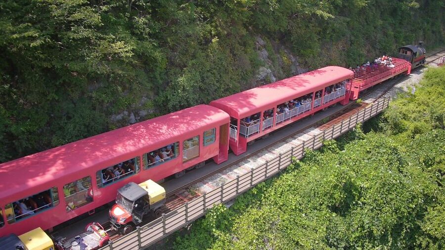 Seoul: Alpaca World & Nami Island optional Gangchon Railbike - Choosing the Gangchon Railbike option