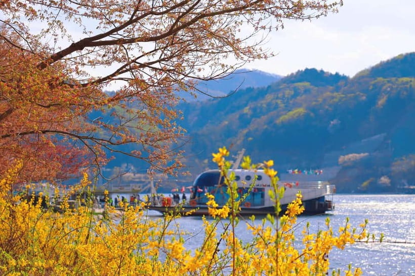 Seoul: Alpaca World & Nami Island optional Gangchon Railbike - What the guide adds to a busy schedule