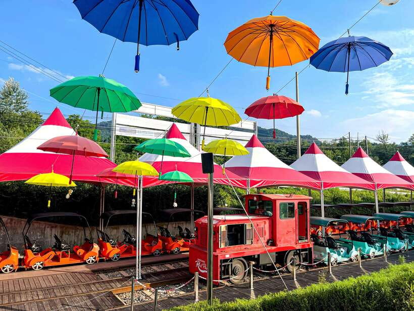 Seoul: Alpaca World & Nami Island optional Gangchon Railbike - What $71 really gets you