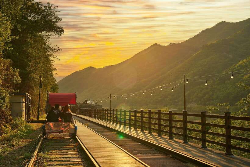 Seoul: Alpaca World & Nami Island optional Gangchon Railbike - Who should book this day trip