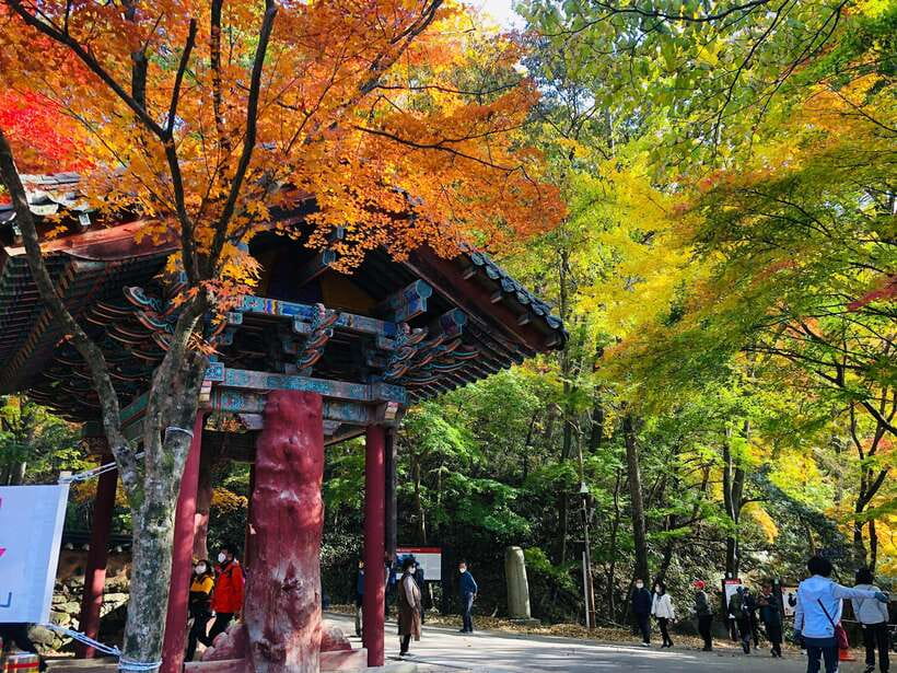 Seoul: Autumn Foliage - Mt. Naejang + Jeonju Hanok Village - Key points to know before booking