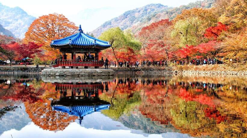 Seoul: Autumn Foliage - Mt. Naejang + Jeonju Hanok Village - Why this day trip works