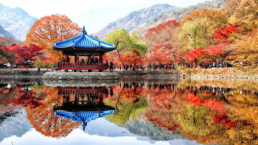 Seoul: Autumn Foliage - Mt. Naejang + Jeonju Hanok Village - What to eat in Jeonju Hanok Village