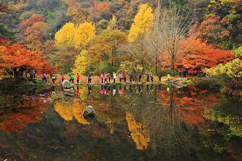 Seoul: Autumn Foliage - Mt. Naejang + Jeonju Hanok Village - Who should book this experience