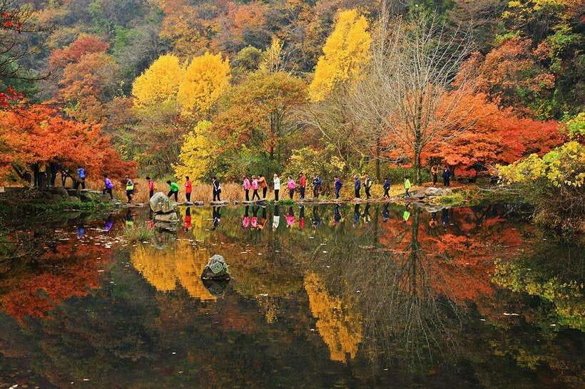Seoul: Autumn Foliage - Mt. Naejang + Jeonju Hanok Village - Leaving Seoul before the roads fill