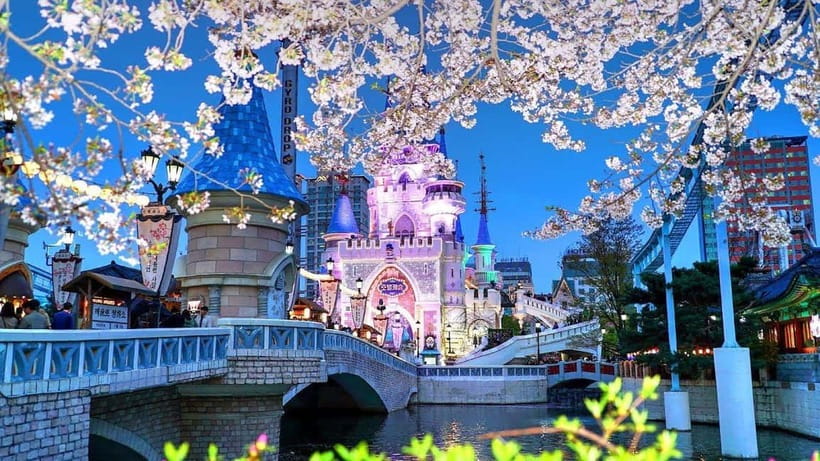 Seoul: City or Suburbs Private Chartered Car Tour for 10HR - The driver-guide experience