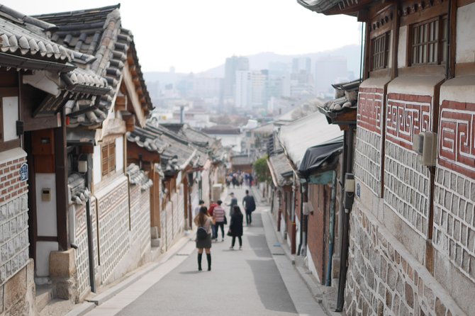Seoul City Private Full-Day Tour Including Lunch - What the driver-guide adds