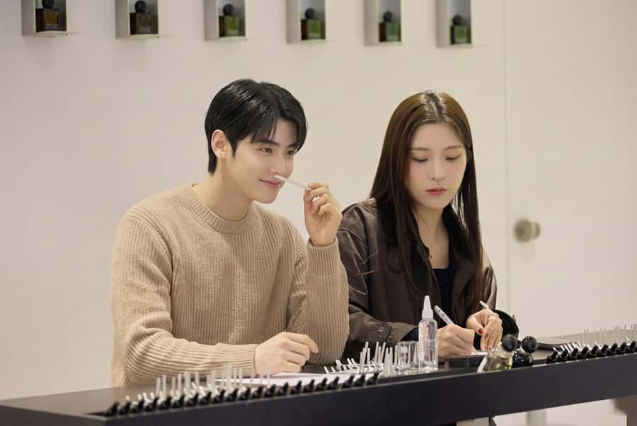 Seoul: Create Your Own Natural Perfume with a Perfumer - Who will enjoy this, and who may not