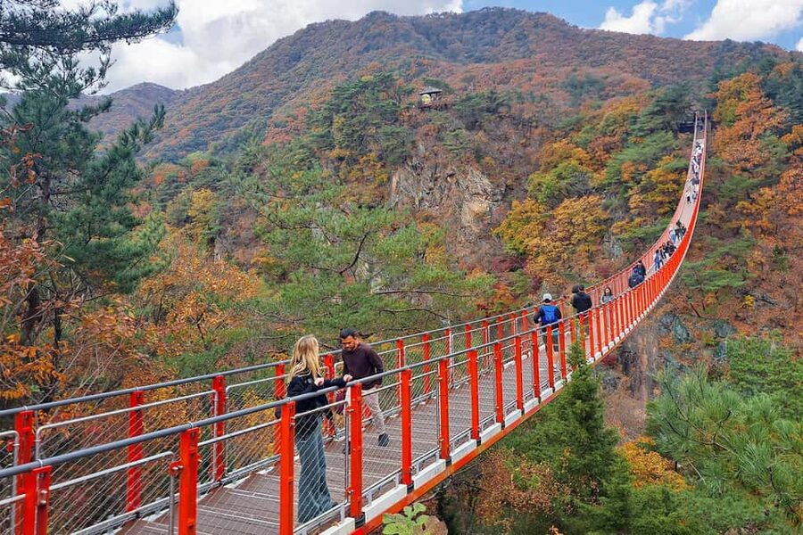 Seoul: DMZ Guided Tour with Suspension Bridge and Gondola - Key points at a glance