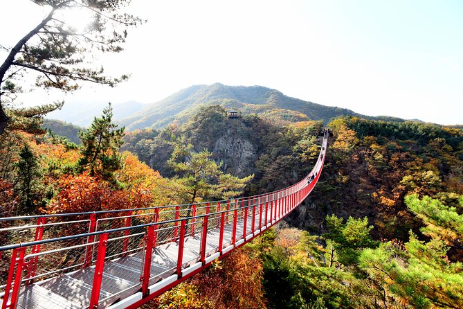 Seoul DMZ Tour with 3rd Tunnel and Red Suspension Bridge - Imjingak Pyeonghoa-Nuri Park and the emotional side of division