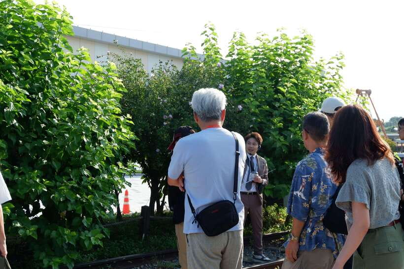 Seoul: DMZ Tour with Japanese-Speaking Guide - Walking into the Third Infiltration Tunnel