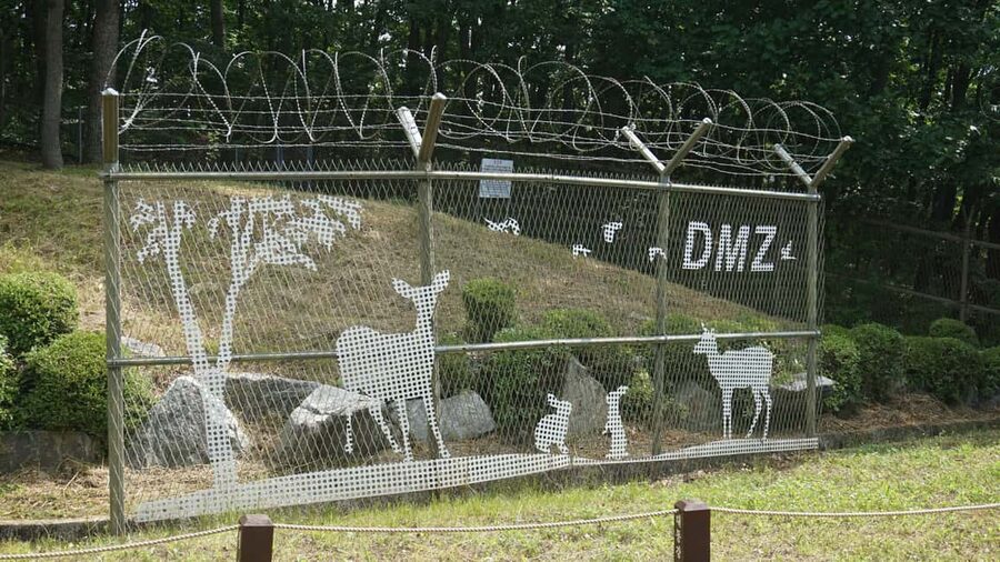 Seoul: DMZ Tour with Optional Suspension Bridge - Gamaksan Suspension Bridge: worth the extra effort?