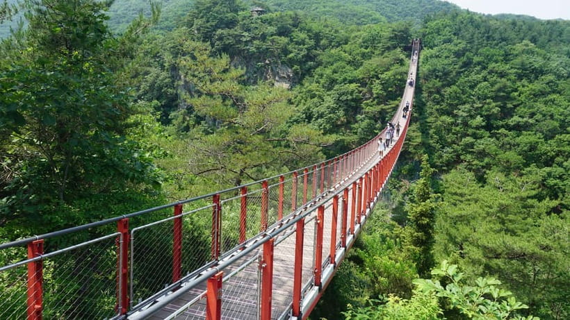 Seoul: DMZ Tour with Optional Suspension Bridge - Imjingak Park and the meaning of Freedom Bridge