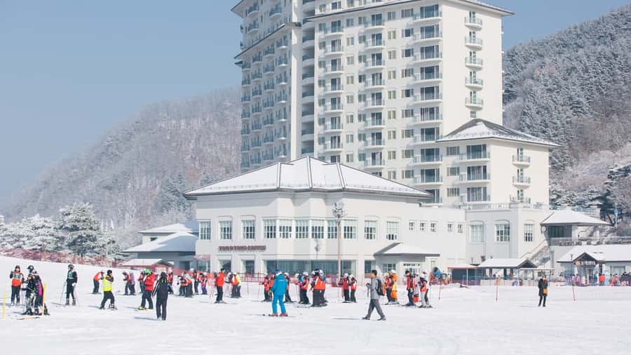 Seoul: Elysian Gangchon Winter Ski Resort Fun Day Tour - The 10:30am beginner lesson