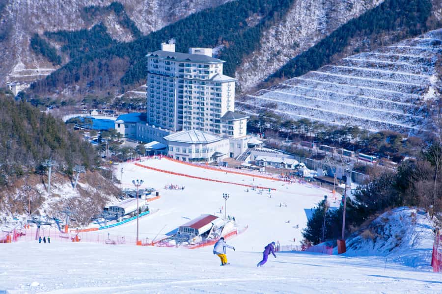 Seoul: Elysian Gangchon Winter Ski Resort Fun Day Tour - What the $15 price really means