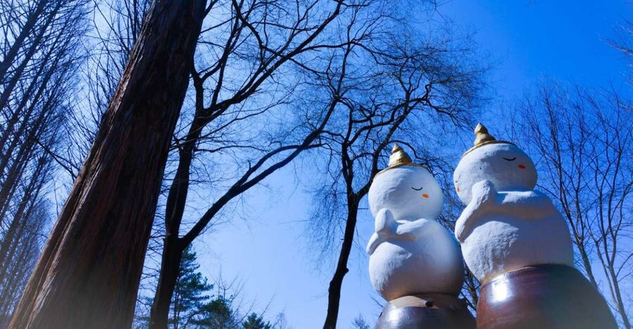 Seoul: Elysian Gangchon Winter Ski with Nami Island Day Tour - Why this Seoul winter trip works