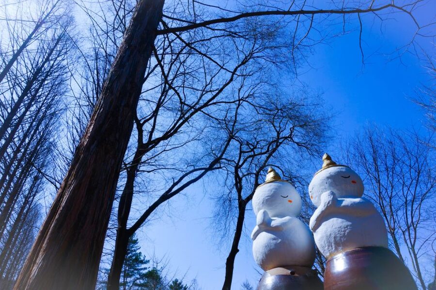 Seoul: Elysian Gangchon Winter Ski with Nami Island Day Tour - Timing, traffic, and the return to Seoul