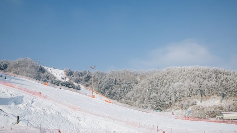 Seoul: Elysian Gangchon Winter Ski with Nami Island Day Tour - Who will get the most from this tour