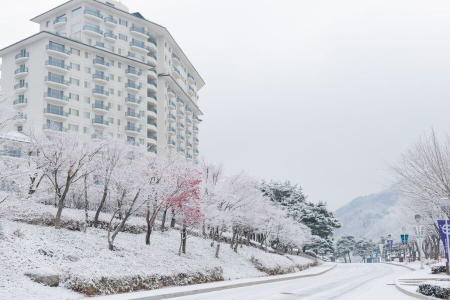 Seoul: Elysian Gangchon Winter Ski with Nami Island Day Tour - What to pack and what costs extra