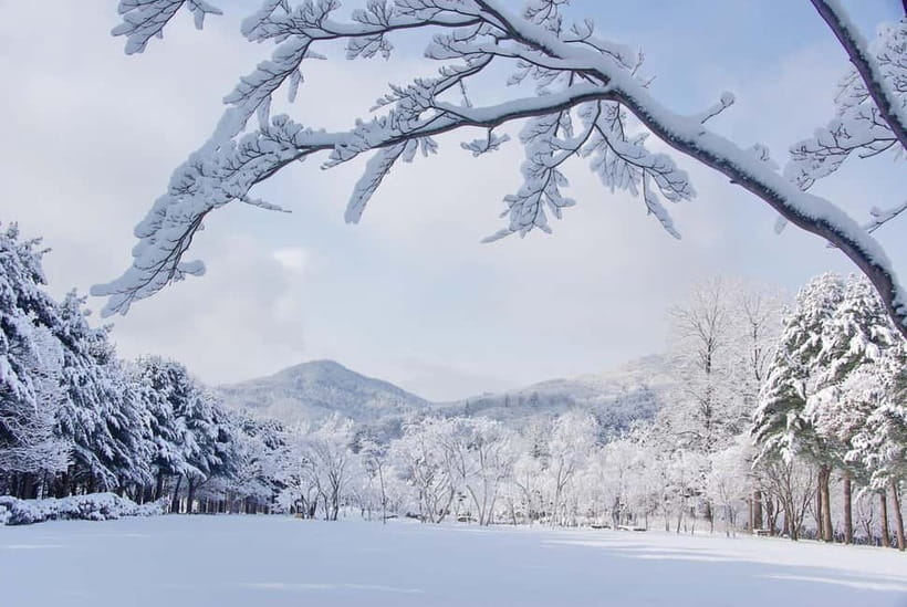 Seoul: Elysian Gangchon Winter Ski with Nami Island Day Tour - Walking Nami Island in snow