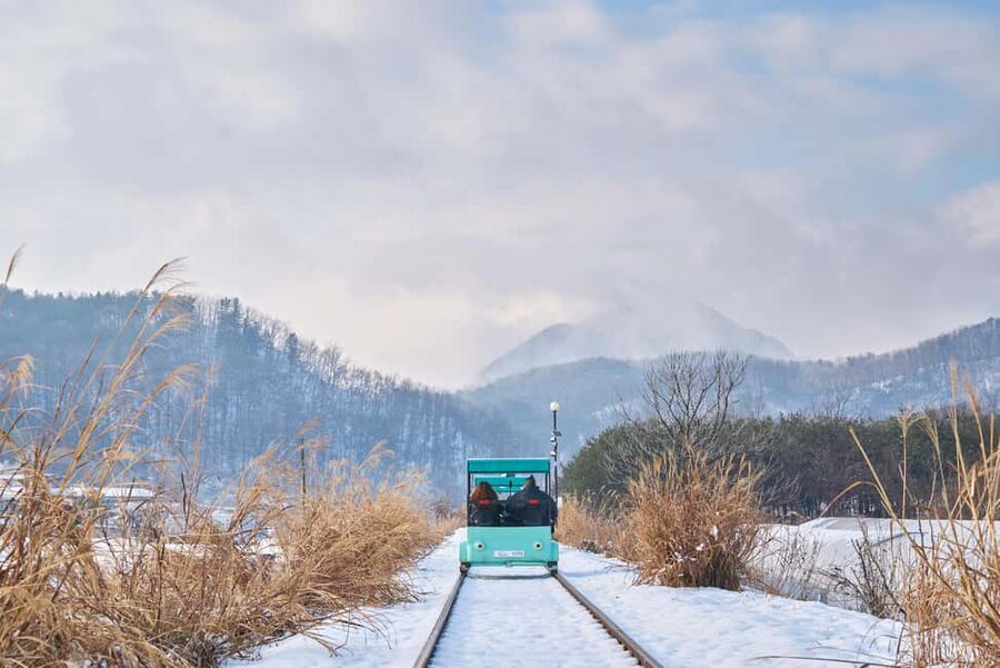 Seoul: Eobi Ice Valley, Alpaca World, Nami Island and More - Key points to know before booking
