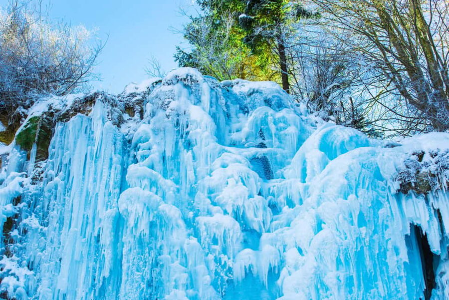 Seoul: Eobi Ice Valley, Alpaca World, Nami Island and More - Is $83 a fair price?