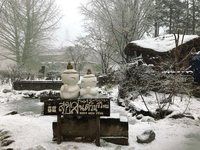 Seoul: Eobi+Nami+Hanbok(+RailBike or Strawberry Options)Tour - Who should book this experience