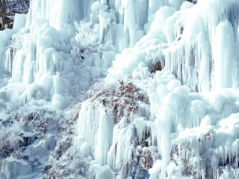 Seoul: Eobi Valley(Winter), Strawberry, Nami Island and Bike - Should you book it?