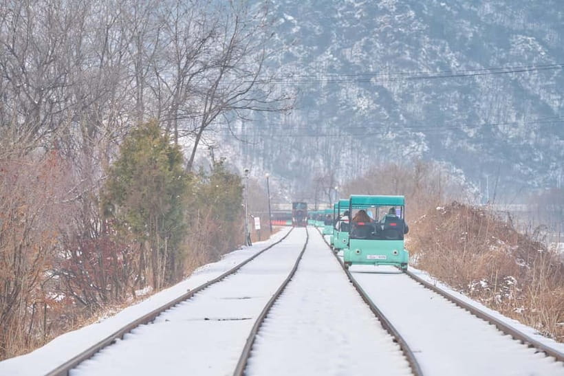 Seoul: Eobi Valley(Winter), Strawberry, Nami Island and Bike - Pedaling the Gangchon Railbike
