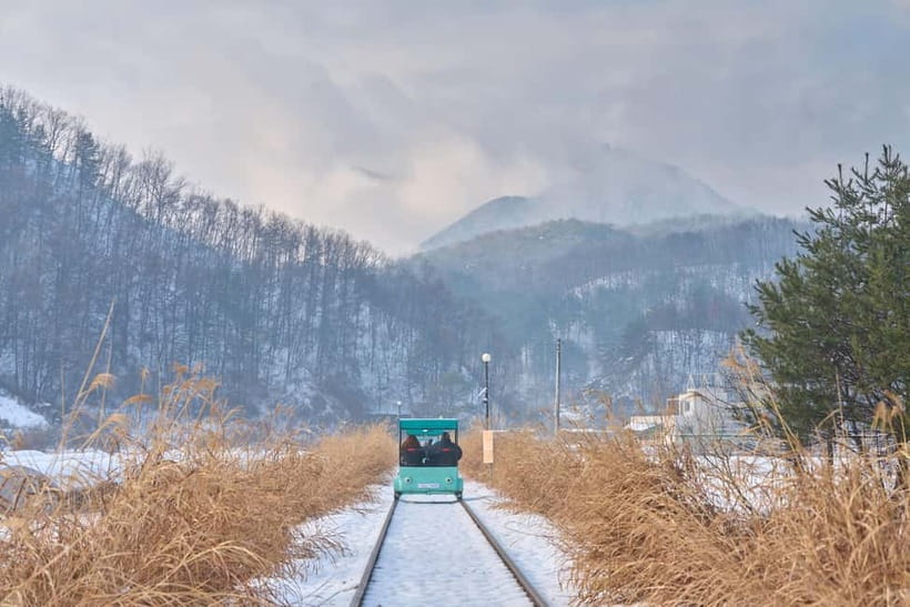 Seoul: Eobi Valley(Winter), Strawberry, Nami Island and Bike - Starting in Seoul and heading to the farm