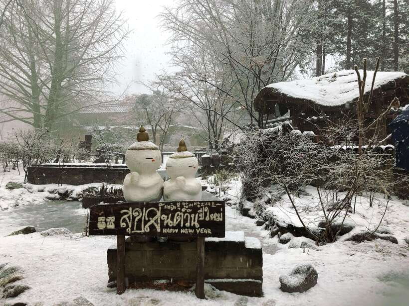 Seoul: Full-Day Winter Trip Ski Resort, Ice Valley, Namiseom - Key points to know before you book