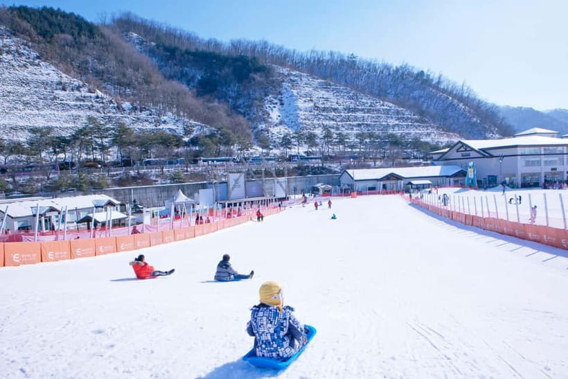Seoul: Full-Day Winter Trip Ski Resort, Ice Valley, Namiseom - Three winter experiences in one long day