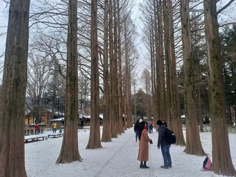 Seoul: Full-Day Winter Trip Ski Resort, Ice Valley, Namiseom - Eobi Ice Valley, a short winter photo stop