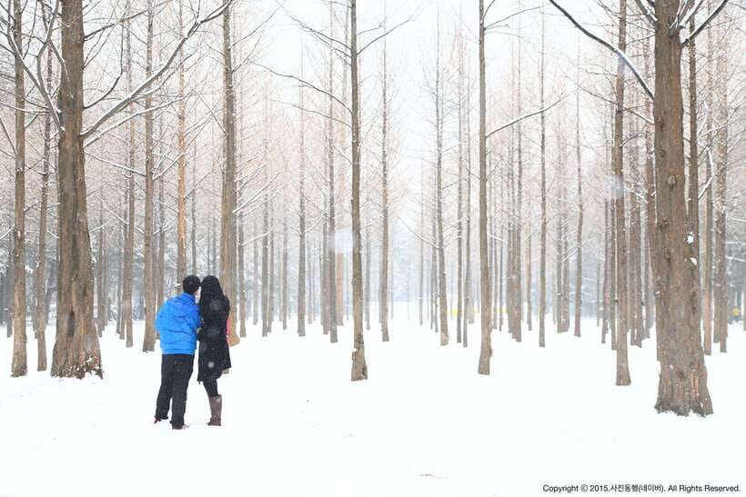 Seoul: Full-Day Winter Trip Ski Resort, Ice Valley, Namiseom - Transport, timing, and the real pace of the day
