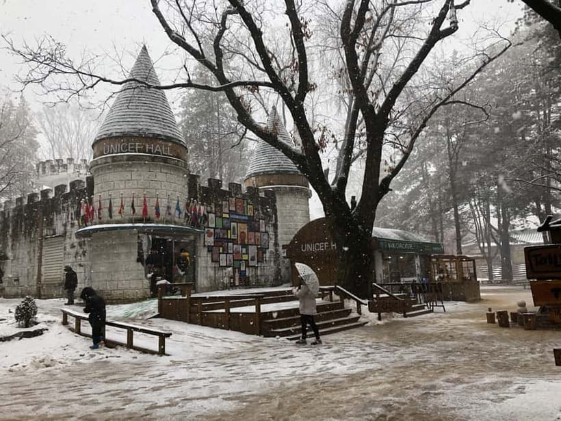 Seoul: Full-Day Winter Trip Ski Resort, Ice Valley, Namiseom - Should you book this winter day trip?
