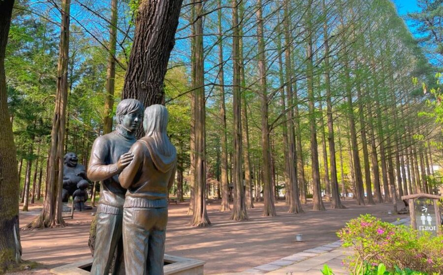 Seoul: Gangwon-do Day Trip with Alpaca World & Nami Island - Nami Island and its tall-tree paths