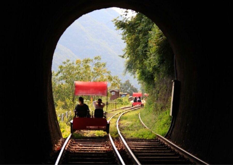 Seoul: Gangwon-do Day Trip with Alpaca World & Nami Island - Your choice: Gangchon Rail Park or the Garden of Morning Calm